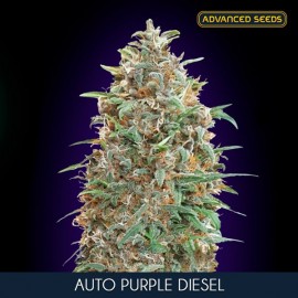 Auto Purple Diesel