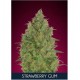 Strawberry Gum