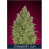 Strawberry Gum