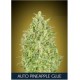 Auto Pineapple Glue