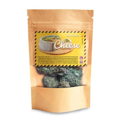 Cogollos de cañamo ricos en CBD Swiss Made Cheese