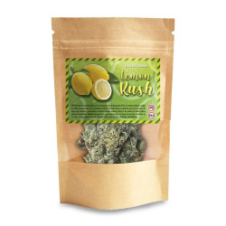 Cogollos de cañamo ricos en CBD Swiss Made Lemon Kush