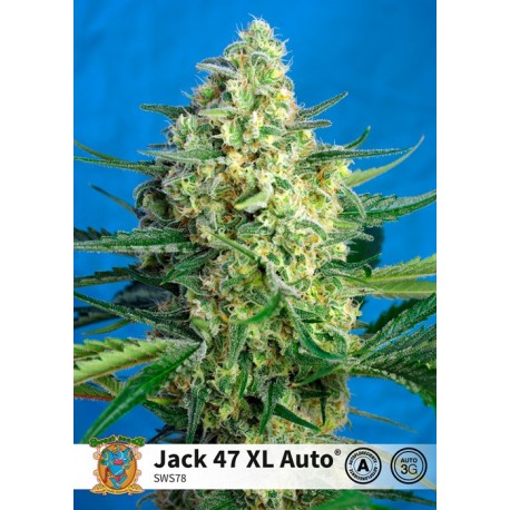 Jack 47 XL Auto