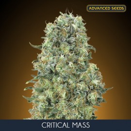 Critical Mass