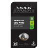 Sensi #41 Auto CBD feminizada de Sensi Seeds Research