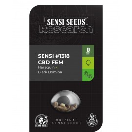 Sensi 1318 CBD de Sensi Seds Research