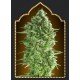 Dos-Si-Dos Cookies