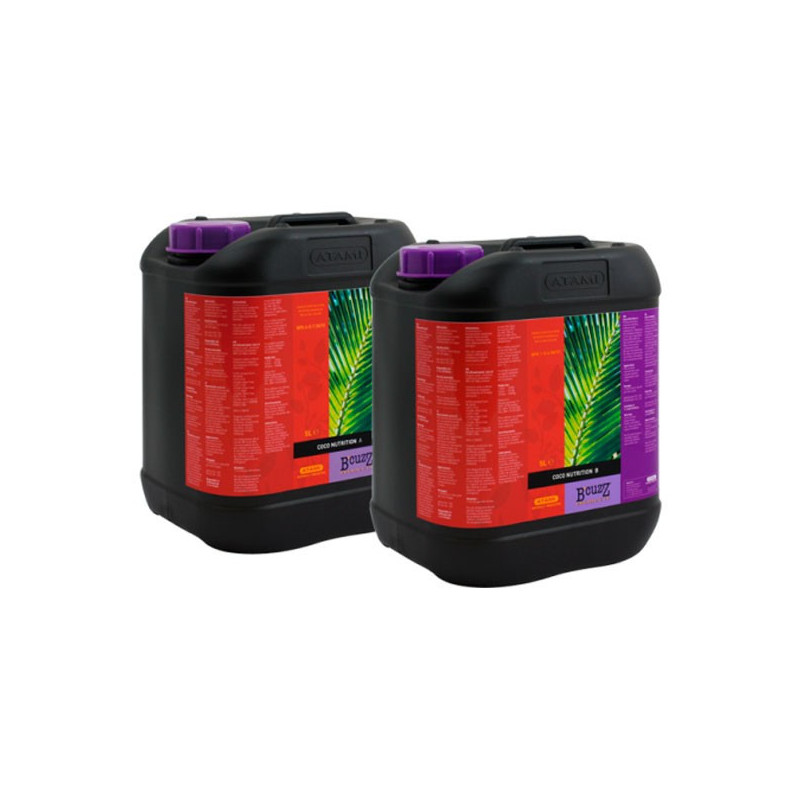 Coco Nutrición A+B Bcuzz