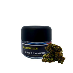Cogollos de cañamo ricos en CBD Cookies Dream