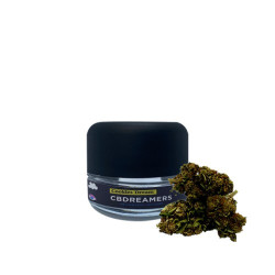Cogollos de cañamo ricos en CBD Cookies Dream
