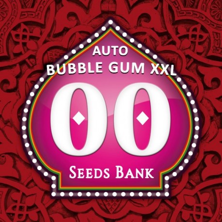 Auto Bubble Gum XXL