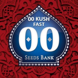 00 Kush Fast