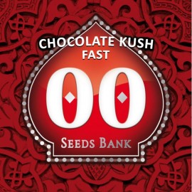 Chocolate Kush Fast