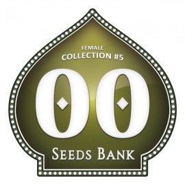 Female Collection 5 de 00 Seeds