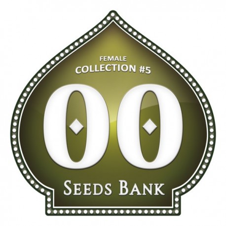 Female Collection 5 de 00 Seeds