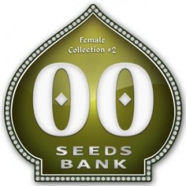 Female Collection 2 de 00 Seeds
