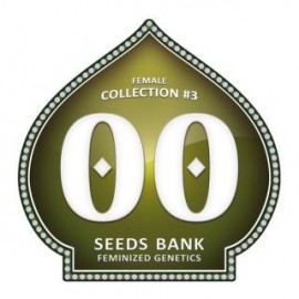 Female Collection 3 de 00 Seeds