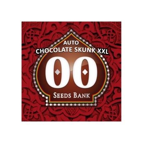 Auto Chocolate Skunk XXL
