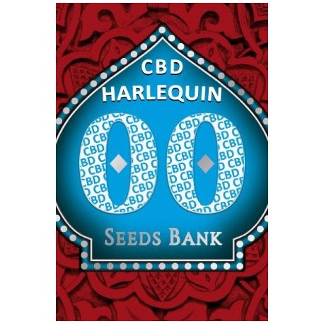 Harlequin CBD