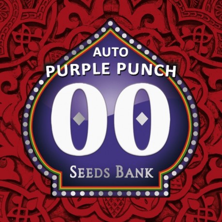 Auto Purple Punch