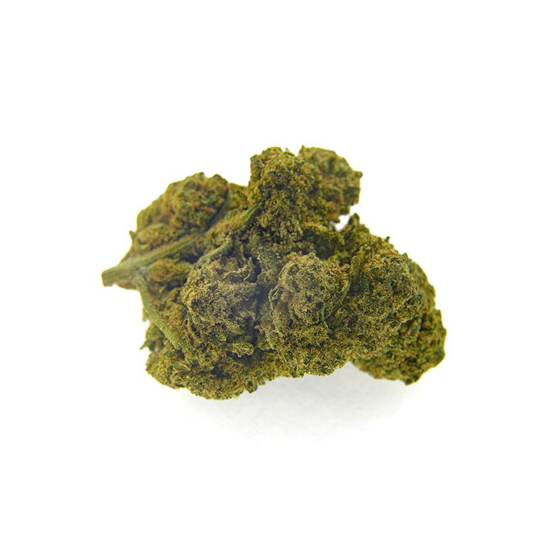 Cogollos de cañamo ricos en CBD Blueberry de CBD Bee