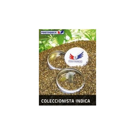 Pack Coleccionista Indica (6 semillas)