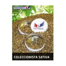 Pack Coleccionista Sativa (6 llavors)