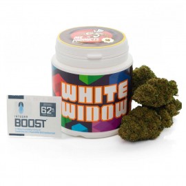 Cogollos de cañamo ricos en CBD White widow de CBD Bee