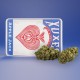 Cañamo Cbd Xuxes Apple Jack
