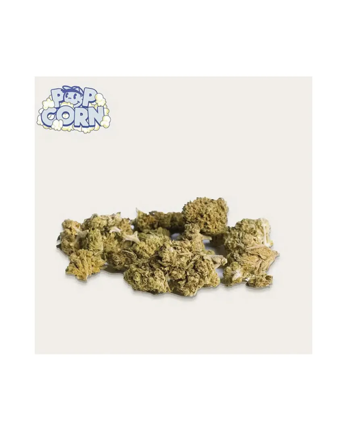 Cogollos de cañamo ricos en CBD Xuxes Pop Corn Blue Candy 25gr