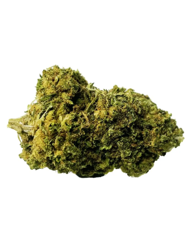 CBD Jack Herer 3,5 y 10 g | Bee Products