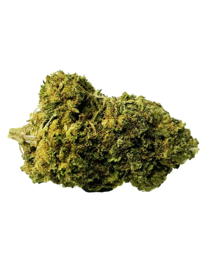 CBD Jack Herer 3,5 y 10 g | Bee Products