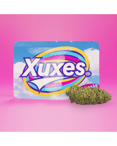 Cogollos CBD Amnesia Xuxes 3 g