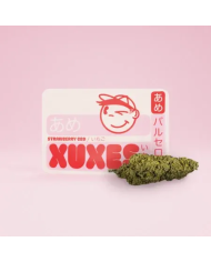 CBD Strawberry 3GR XUXES