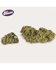 Xuxes CBD Cookies 3 g – Flores aromáticas de cáñamo