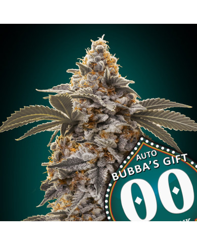 Auto Bubba’s Gift Auto · Aroma Intenso y Perfil Exótico