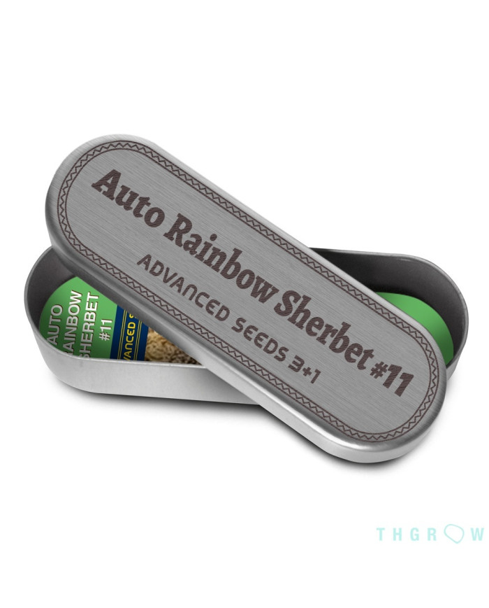 Auto Rainbow Sherbet #11 · Advanced Seeds · Aroma Afrutado y Dulce