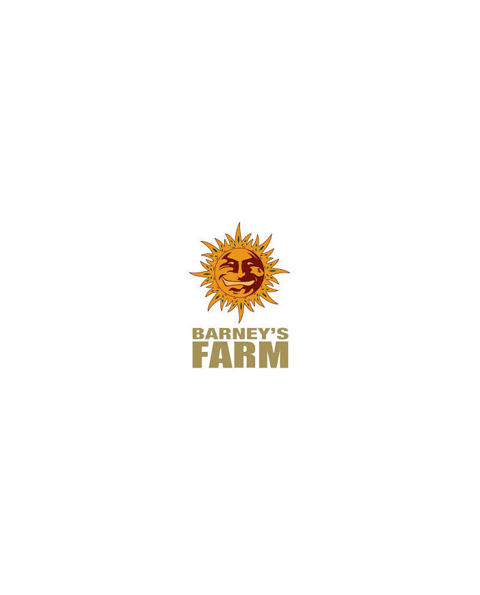 Gelato · Barney’s Farm · Aroma Dulce y Cremoso
