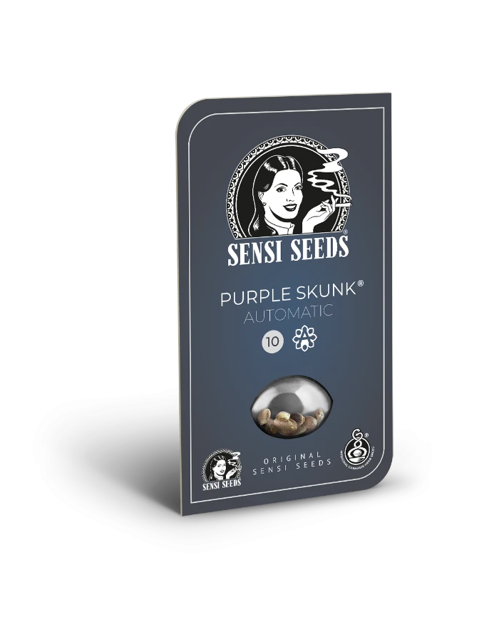 Purple Skunk Auto · Sensi Seeds · Aroma Dulce y Terroso