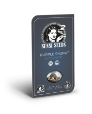 Purple Skunk Auto · Sensi Seeds · Aroma Dulce y Terroso