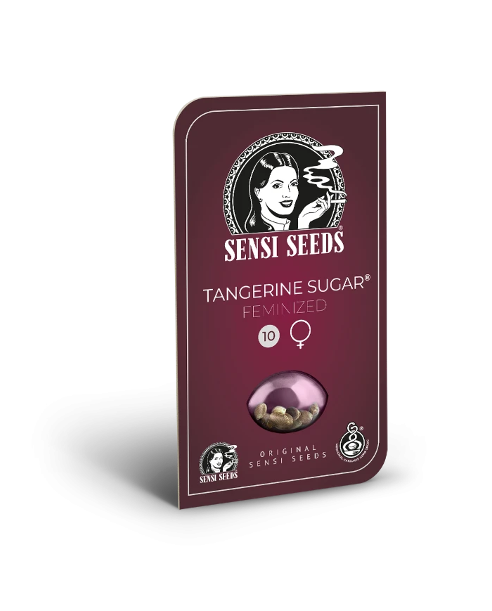 Tangerine Sugar · Sensi Seeds · Aroma Cítrico y Dulce