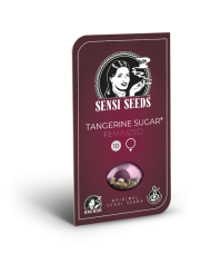 Tangerine Sugar · Sensi Seeds · Aroma Cítrico y Dulce