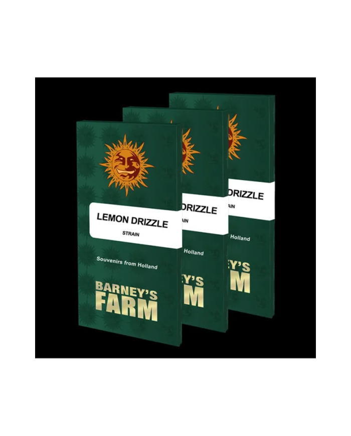 Semillas Lemon Drizzle Barney's Farm | Sabor a Limón y Alto Rendimiento
