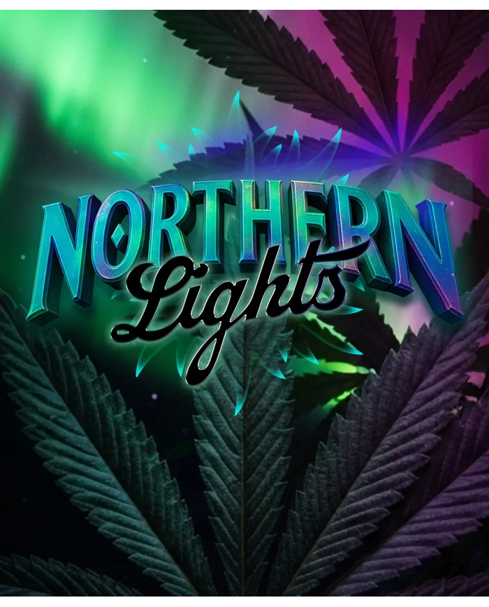 Semillas Northern Lights Barney's Farm | 26% THC | 100% Índica