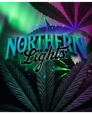Semillas Northern Lights Barney's Farm | 26% THC | 100% Índica