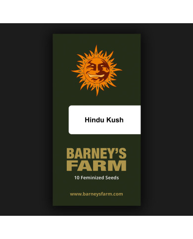 Semillas Hindu Kush Barney's Farm | 26% THC | 100% Índica
