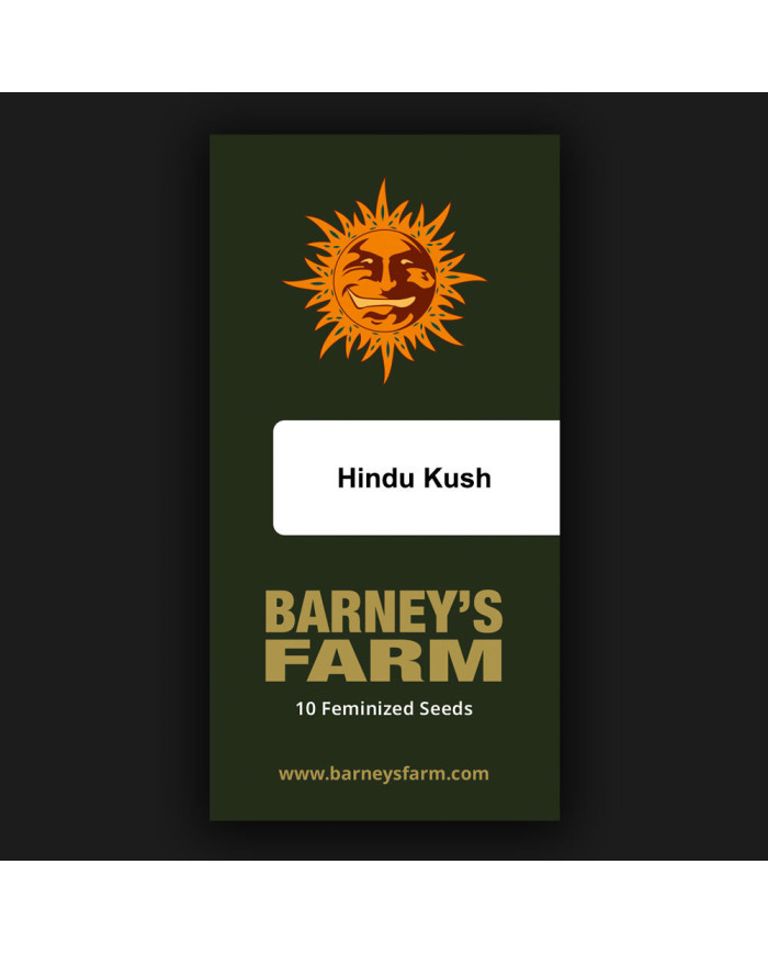 Semillas Hindu Kush Barney's Farm | 26% THC | 100% Índica