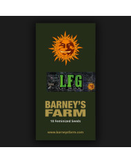 Semillas LFG Barney's Farm | 32% THC | Híbrido Premium