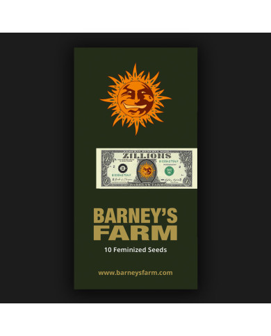 Semillas Zillions Barney's Farm | 32% THC | Híbrido Premium