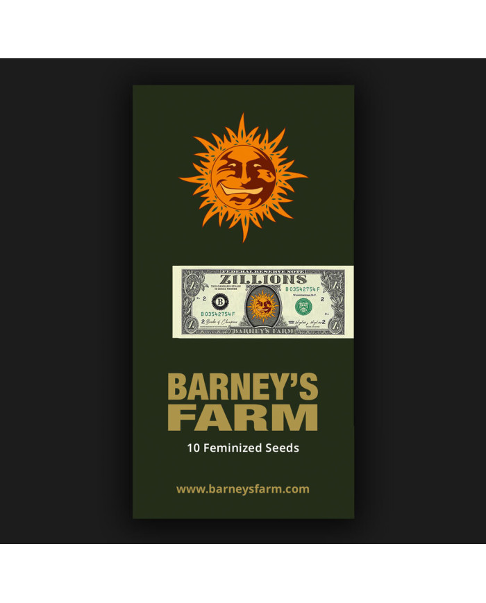 Semillas Zillions Barney's Farm | 32% THC | Híbrido Premium